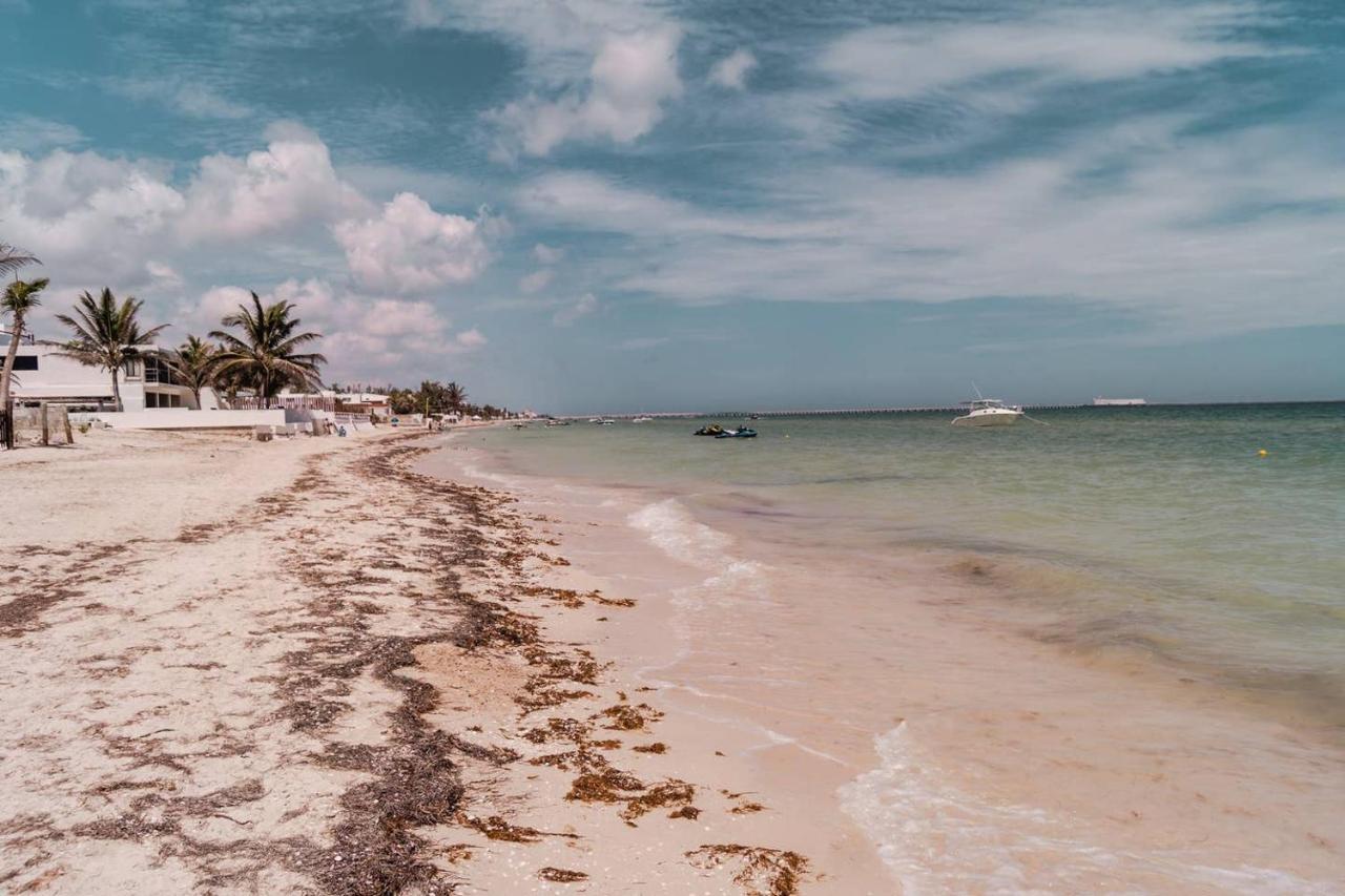Luxury Condo, The Hidden Gem Playa Chaca. Live It! Progreso  Luaran gambar